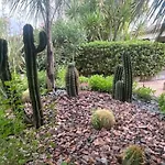 Impressionniste - Au Coeur De Montpellier, 290 M2, Jardin Tropical, Piscine, Cuisine Extérieure Villa Montpellier