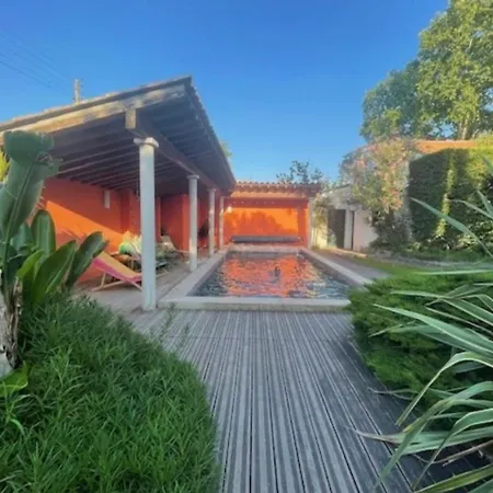 Impressionniste - Au Coeur De Montpellier, 290 M2, Jardin Tropical, Piscine, Cuisine Exterieure