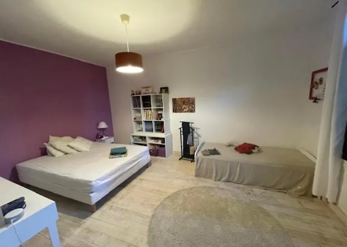 Impressionniste - Au Coeur De Montpellier, 290 M2, Jardin Tropical, Piscine, Cuisine Exterieure Montpellier