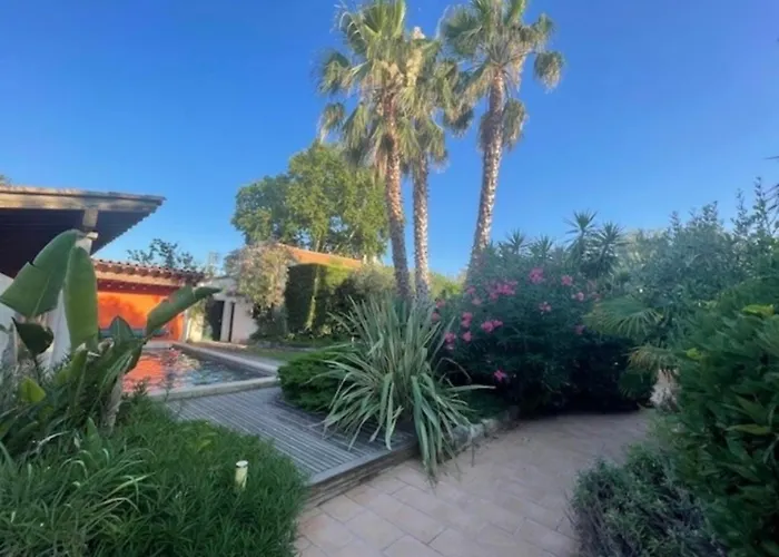 Impressionniste - Au Coeur De Montpellier, 290 M2, Jardin Tropical, Piscine, Cuisine Exterieure Villa