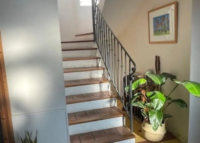 Impressionniste - Au Coeur De Montpellier, 290 M2, Jardin Tropical, Piscine, Cuisine Exterieure Villa